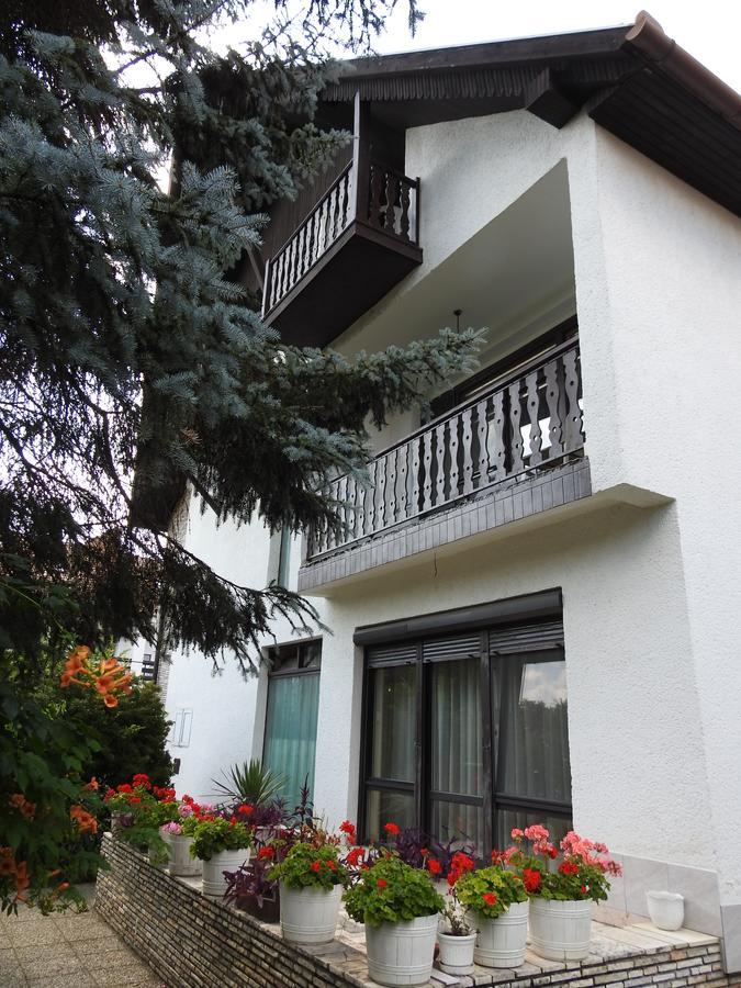 Haus Gizella Hotel Harkány Exterior photo